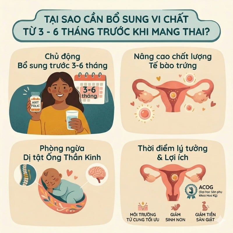 nhathuocvietnhat.vn- Lý do phụ nữ cần bổ sung các vi chất từ 3 - 6 tháng trước khi mang thai