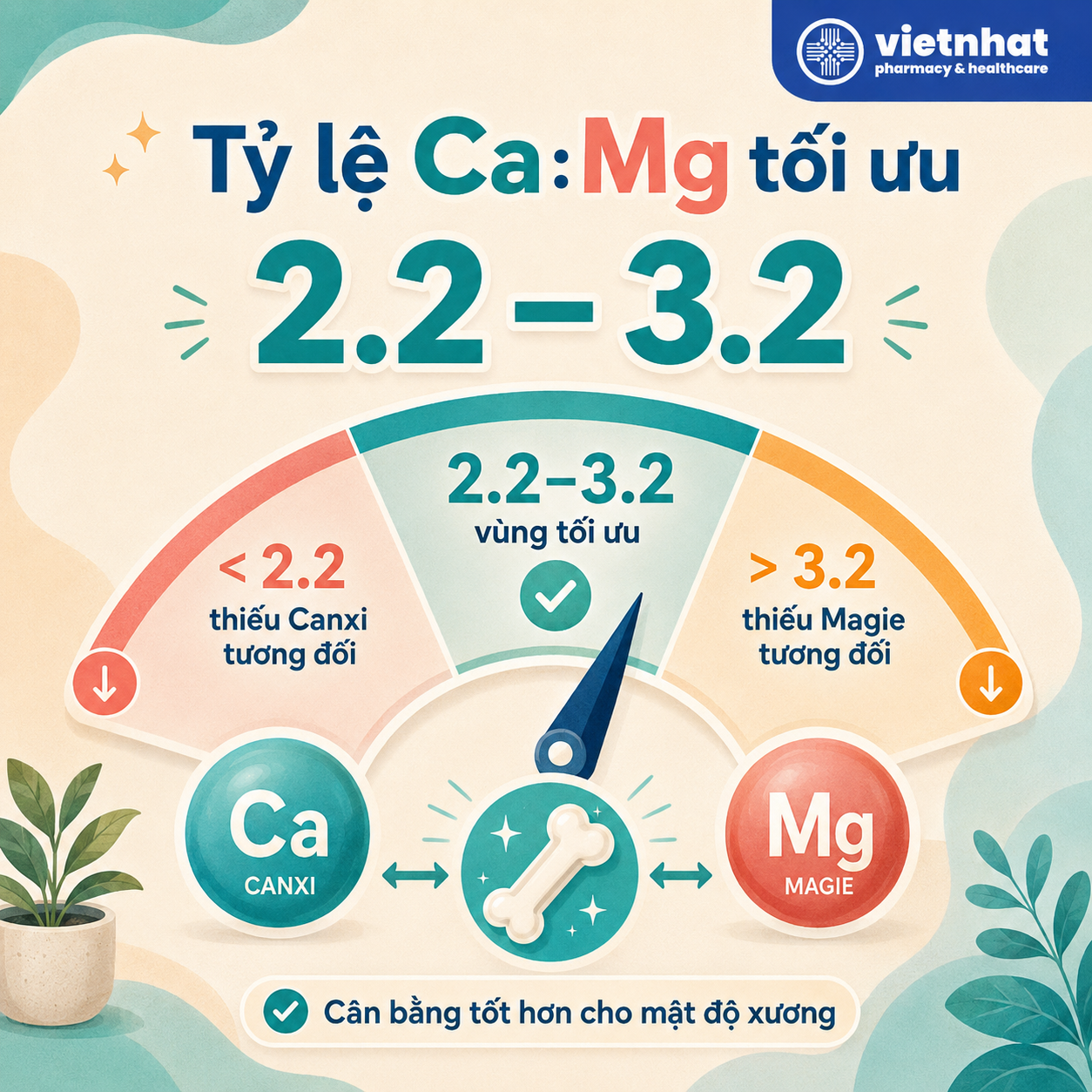 nhathuocvietnhat.vn-tỉ lệ canxi-magie tối ưu cho hấp thu và hoạt động của canxi
