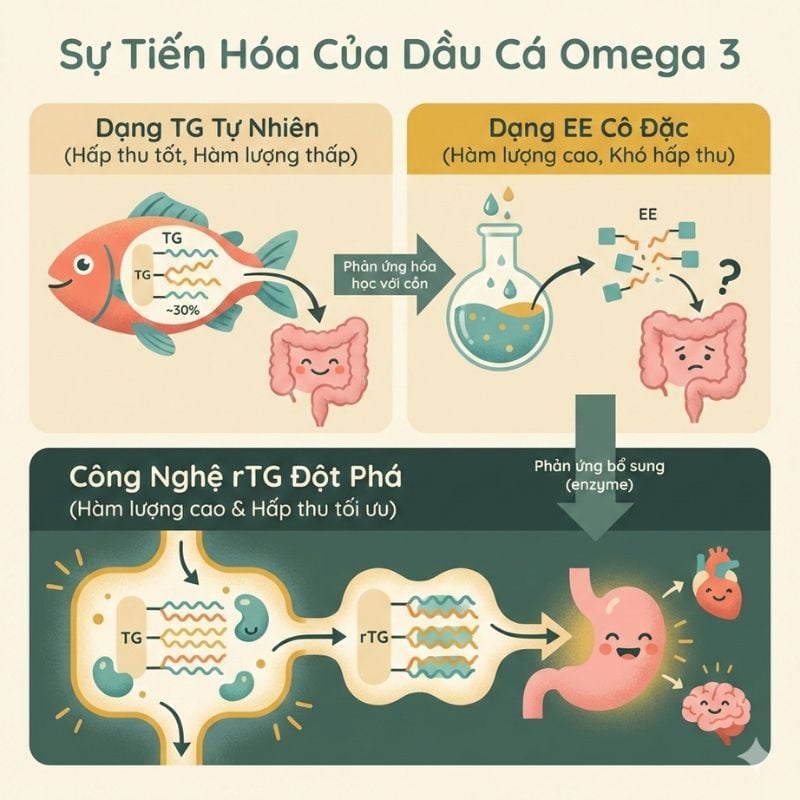 nhathuocvietnhat.vn- Sự tiến hoá của dầu cá Omega 3