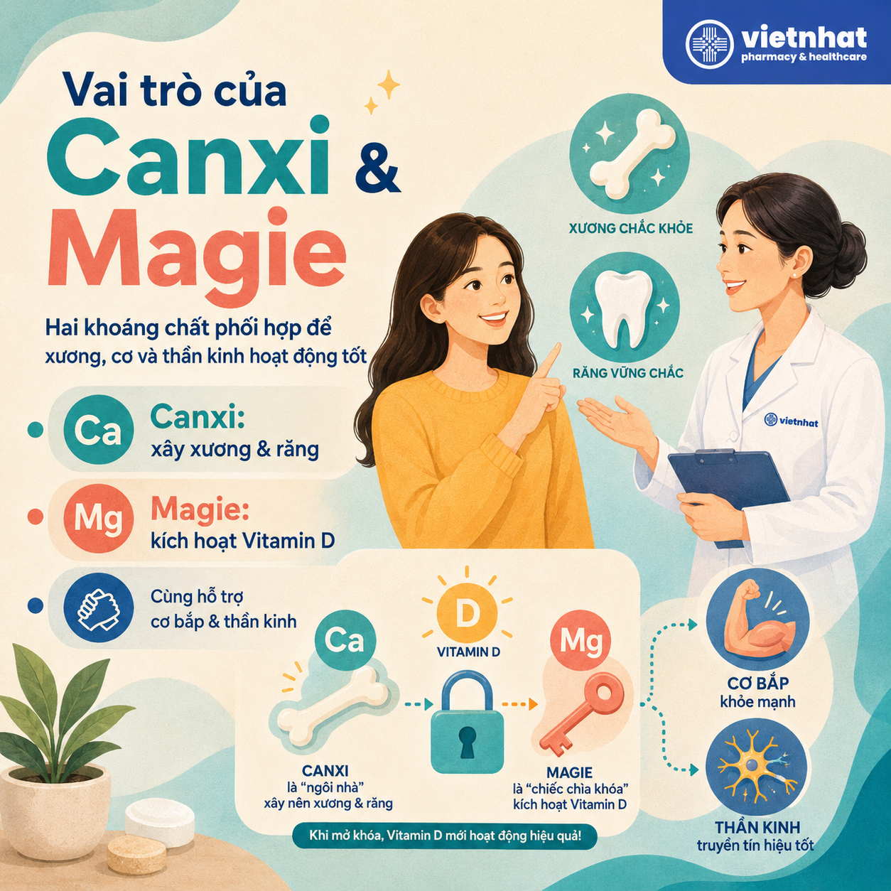 nhathuocvietnhat.vn-Vai trò của canxi và magie trong cơ thể