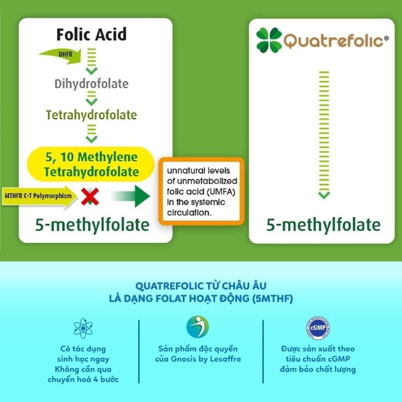 nhathuocvietnhat.vn-Quatrefolic là Folate thế hệ thứ 4, dạng hoạt tính sinh học có thể hấp thu trực tiếp.