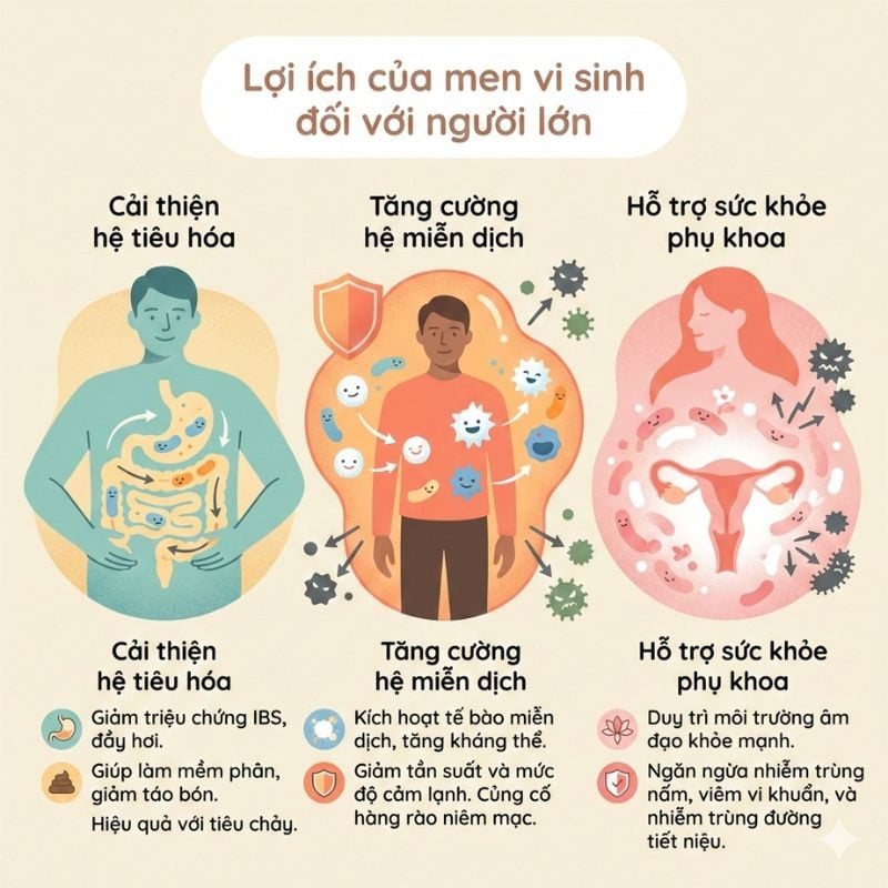 nhathuocvietnhat.vn - Lợi ích sức khoẻ của men ví inh đối với người lớn