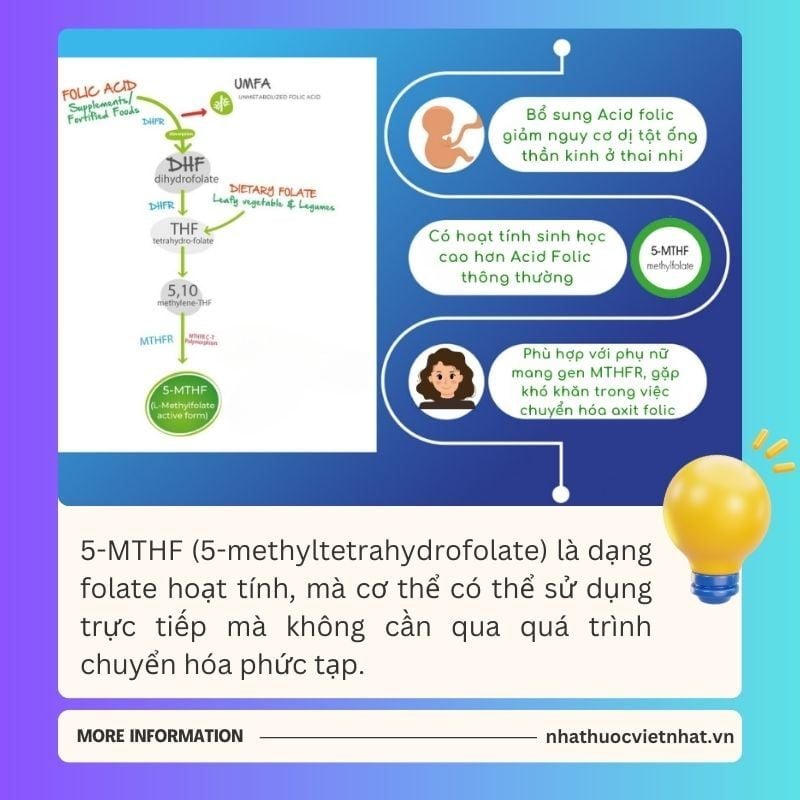 nhathuocvietnhat.vn - 5-MTHF là dạng folate hoạt tính mà cơ thể có thể sử dụng trực tiếp, so với acid folic thông thường