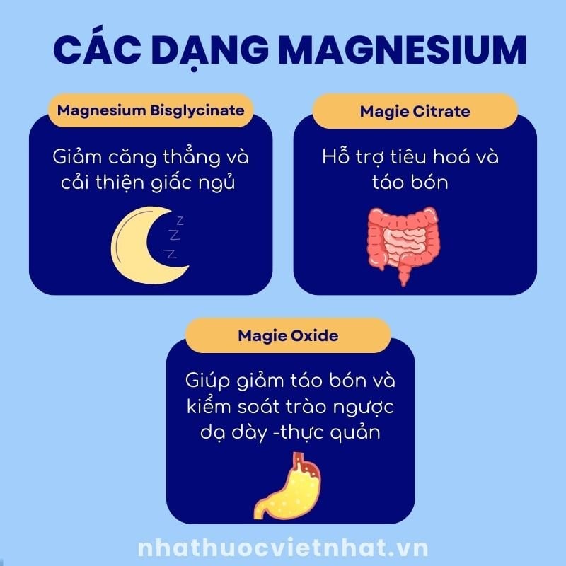 nhathuocvietnhat.vn - Hướng dẫn chọn lựa Magnesium theo tình trạng sức khỏe
