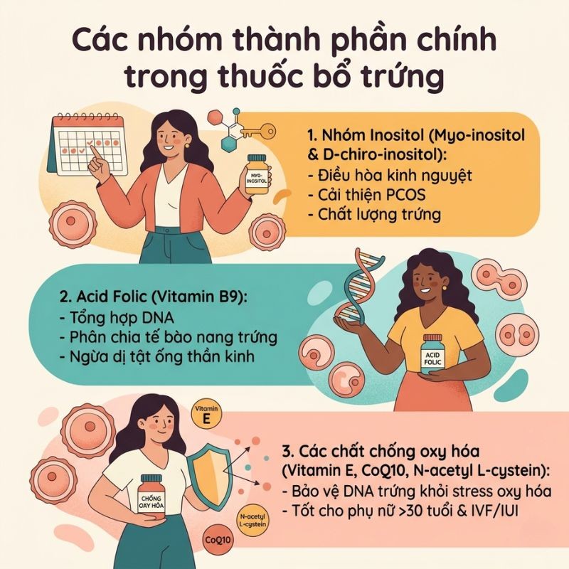 nhathuocvietnhat.vn-Các nhóm thành phần chính trong thuốc bổ trứng giúp cải thiện chất lượng nang noãn, cân bằng nội tiết và tăng khả năng thụ thai.