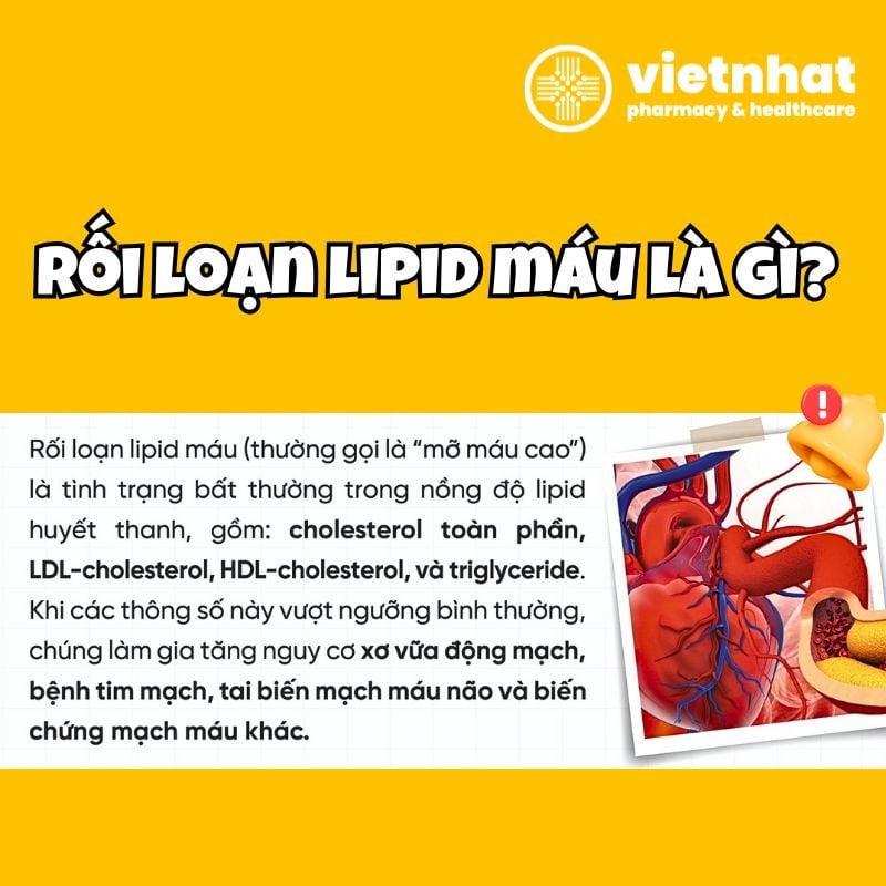 nhathuocvietnhat.vn - rối loạn lipid máu còn được gọi là&nbsp;rối loạn mỡ máu,&nbsp;là tình trạng mất cân bằng các thành phần lipid (chất béo) trong máu.