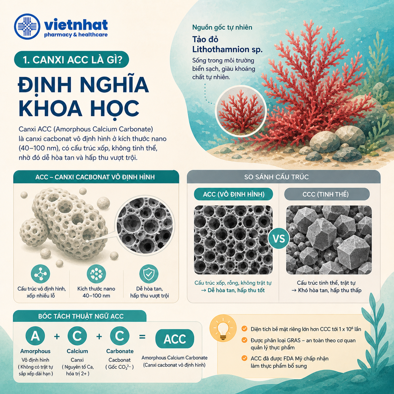 nhathuocvietnhat.vn-Canxi ACC viết tắt của Amorphous Calcium Carbonate — tạm dịch canxi cacbonat vô định hình.