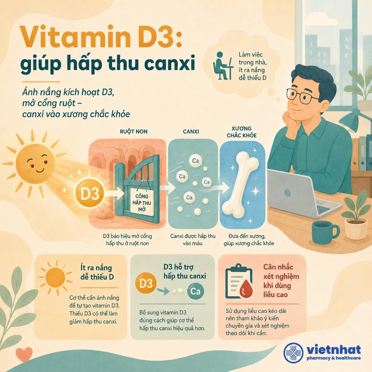 nhathuocvietnhat.vn- Vitamin D3 giúp cơ thể hấp thu canxi ở ruột và đưa canxi vào xương
