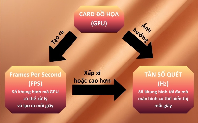 Mối quan hệ giữa tần số quét (Hz) và tốc độ khung hình (FPS)