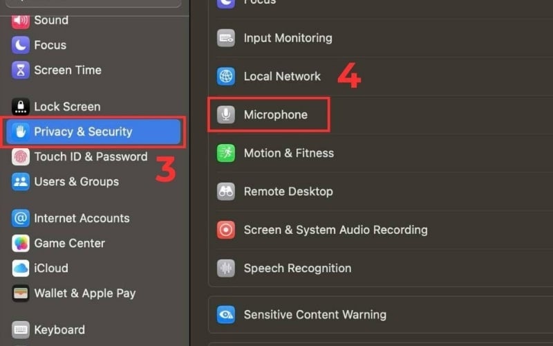 Tìm và nhấp vào mục Microphone
