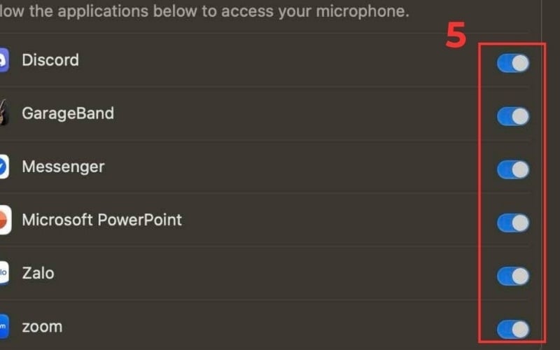 Tìm trình duyệt web của bạn và gạt công tắc bên cạnh sang phải để bật quyền