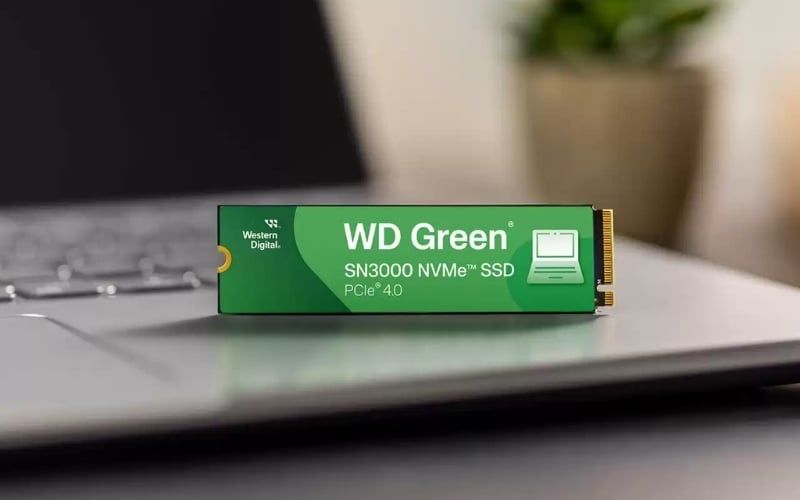Dòng Green của&nbsp;WD đáp ứng nhu cầu sử dụng cơ bản với mức giá rẻ