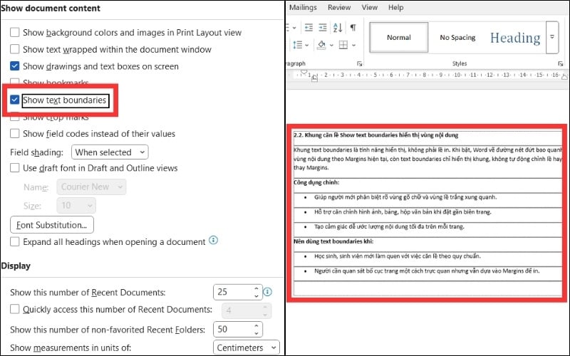 Show text boundaries là tính năng hiển vùng lề trắng xung quanh vùng gõ chữ