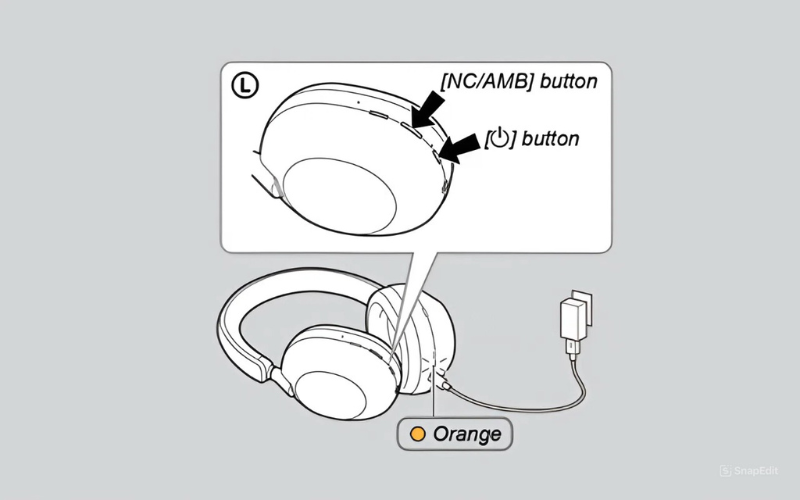 Nhấn và giữ đồng thời nút Nguồn và nút Play/Pause (hoặc NC/AMB)