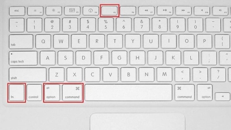 Hiển thị bảng Accessibility Options