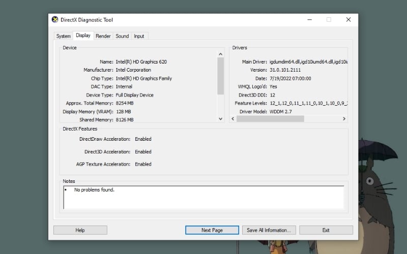 Giao diện DirectX Diagnostic Tool sẽ hiện ra với các tab thông tin