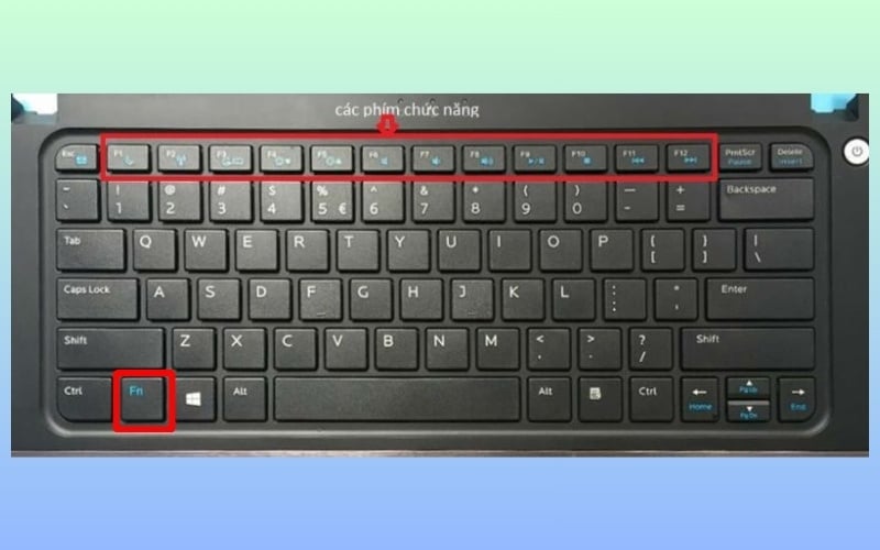 Nhóm phím chức năng (F1 - F12) và phím Fn