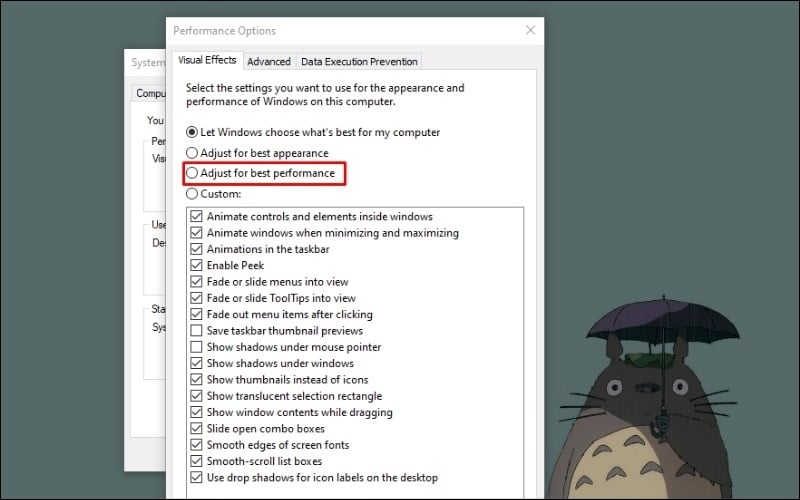 Trong cửa sổ Performance Options, chọn tùy chọn Adjust for best performance