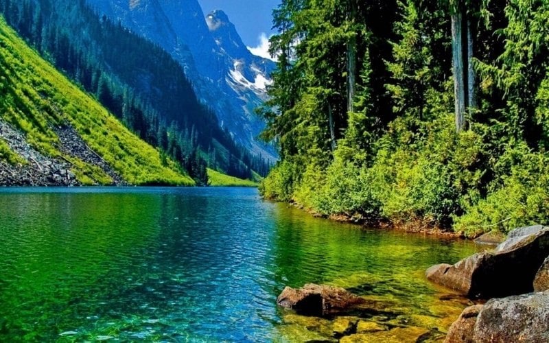 4K DCI là tiêu chuẩn dành riêng cho ngành công nghiệp điện ảnh và các máy chiếu phim chuyên nghiệp