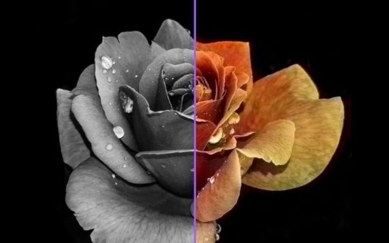 Độ tương phản thể hiện sự chênh lệch về độ sáng giữa màu trắng và màu đen