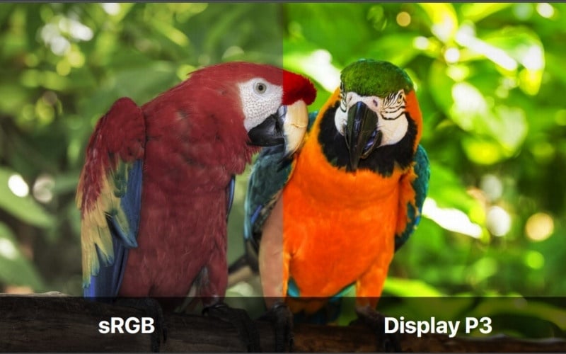 Các chuyên gia dựng phim và biên tập video cần màn hình 95 - 98% DCI-P3 để chỉnh màu