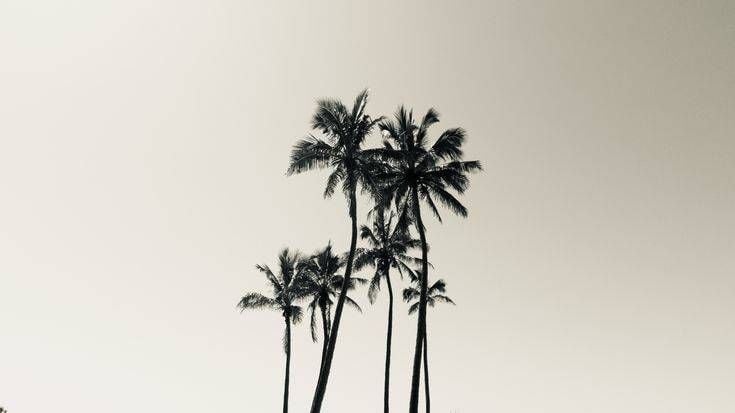 Hình nền máy tính chill theo phong cách Minimalist