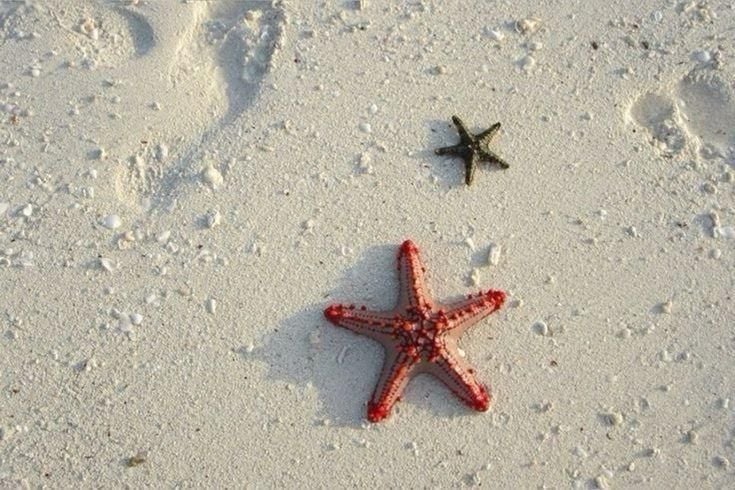 Hình nền máy tính chill theo phong cách Minimalist