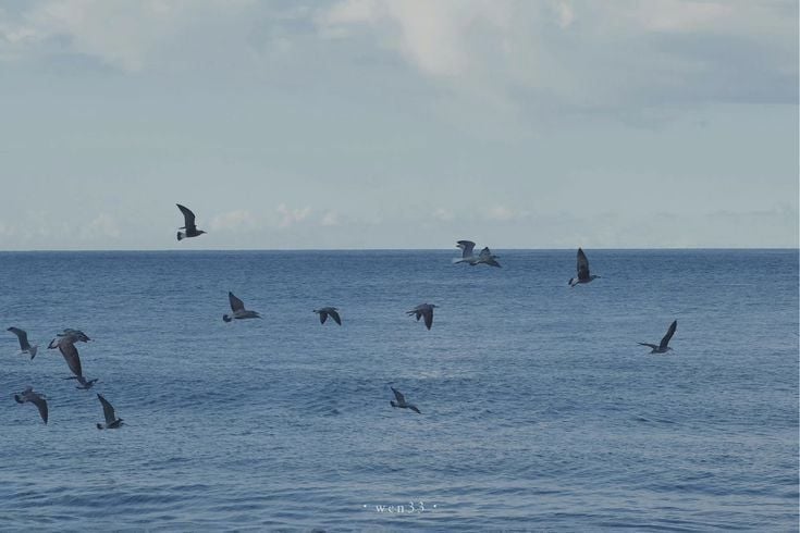 Hình nền máy tính chill theo phong cách Minimalist