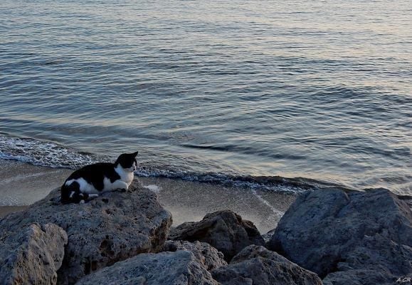 Hình nền máy tính chill theo phong cách Minimalist