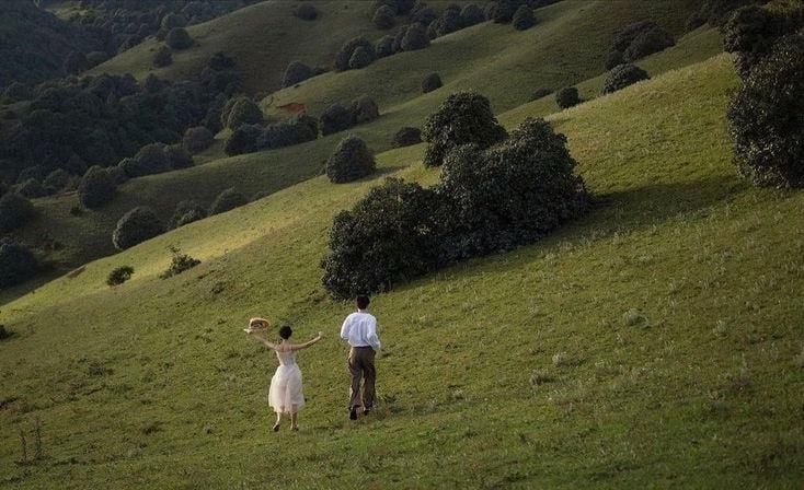 Hình nền máy tính chill Thiên nhiên tĩnh lặng