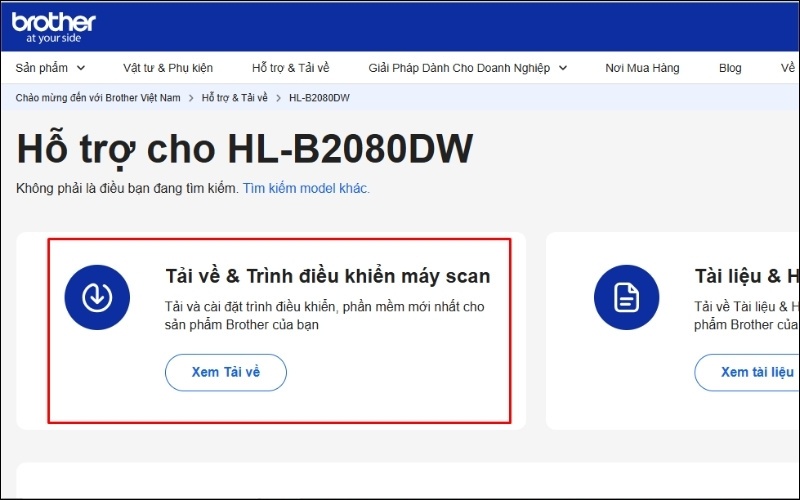 Nhập chính xác tên model máy in để tải Driver