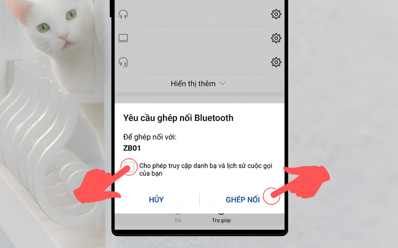Xác nhận ghép nối và kiểm tra âm thanh