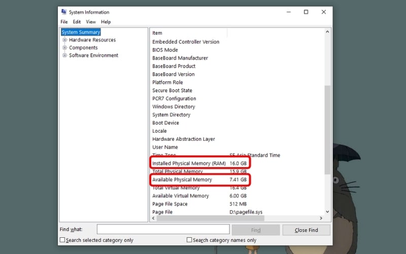 Dòng Installed Physical Memory (RAM) để biết tổng dung lượng vật lý