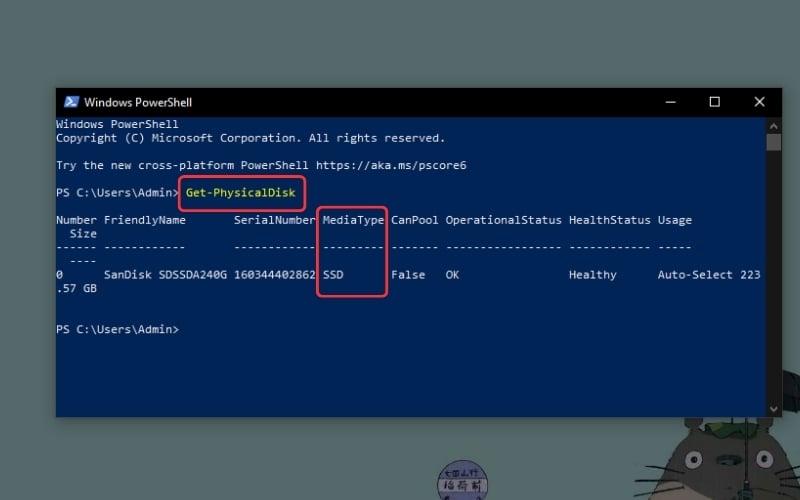 Kết quả trả về tại cột MediaType sẽ cho biết ổ cứng là SSD hay HDD