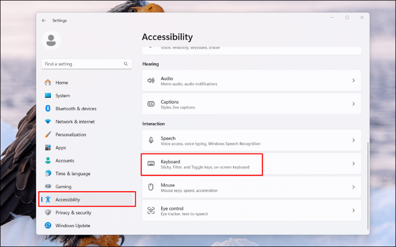 Tắt tính năng Filter Keys trong Accessibility
