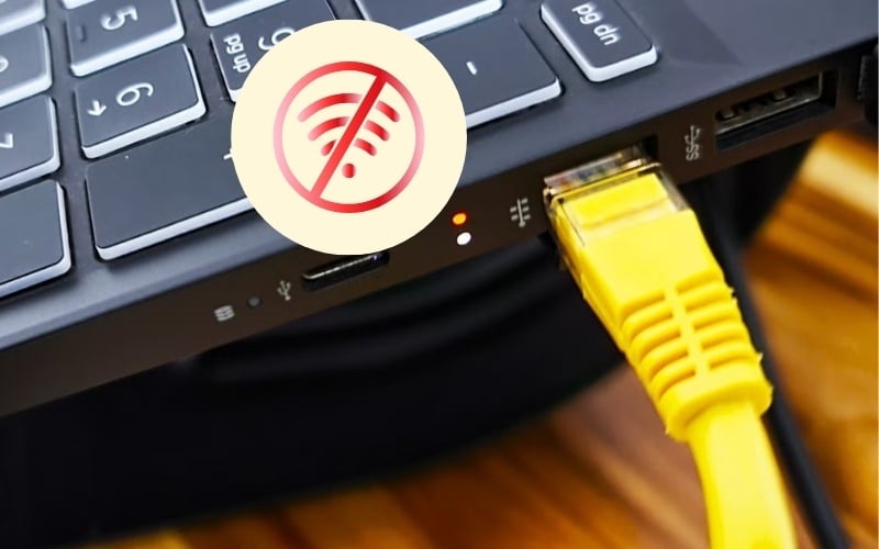 Giải thích laptop không nhận mạng dây là lỗi gì