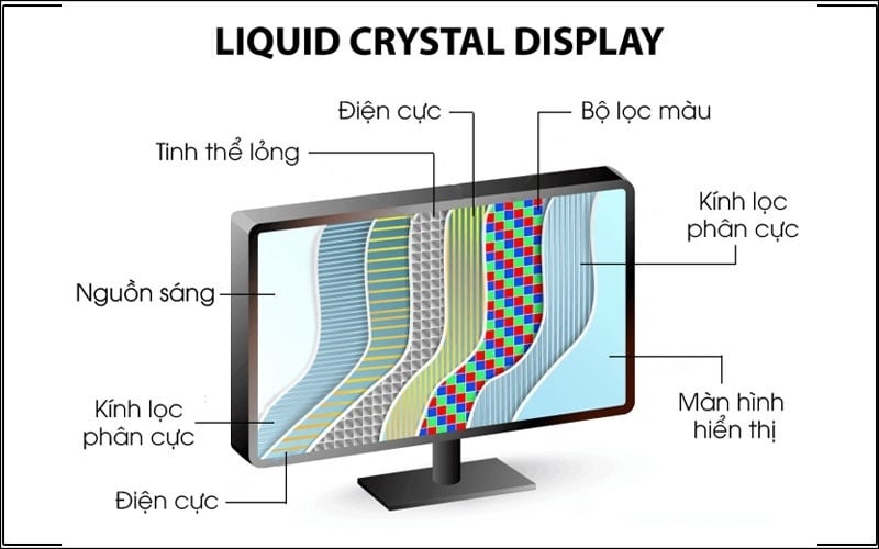 Cấu tạo chi tiết của màn hình LCD