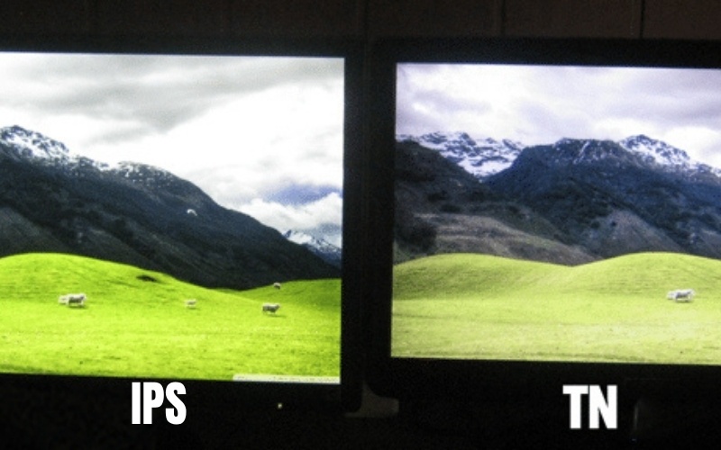 Những công việc đòi hỏi độ chính xác màu sắc tuyệt đối sẽ không phù hợp với màn hình TN