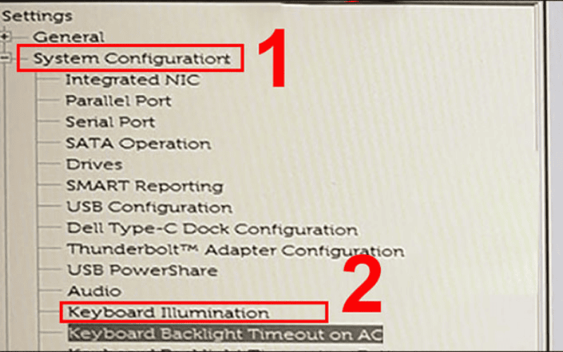 Vào System Configuration và chọn Keyboard Illumination