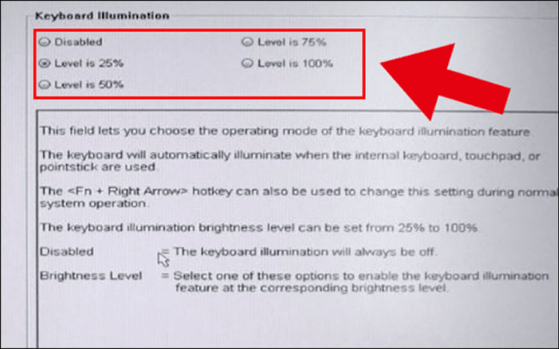 Tại mục Keyboard Illumination, bạn hãy chọn độ sáng mong muốn và chọn Apply
