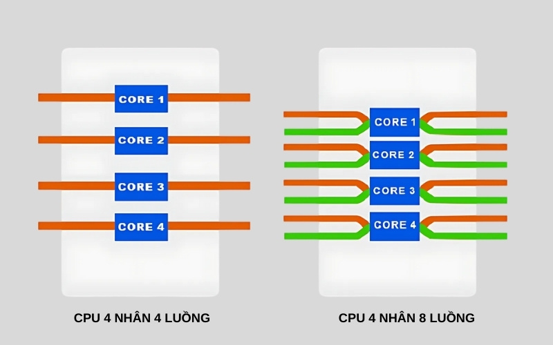 Nhân và luồng phối hợp chặt chẽ với nhau để tối đa hóa hiệu suất