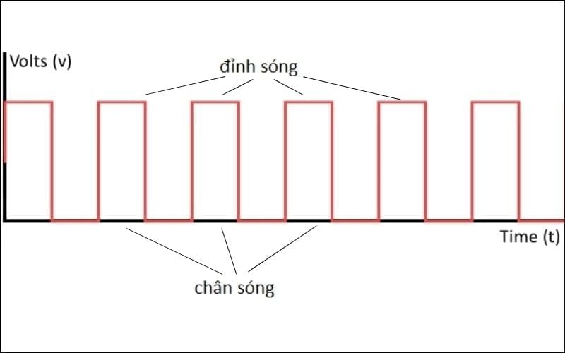 Tốc độ Bus RAM (MHz) càng cao thì dữ liệu truyền đến CPU càng nhanh, giúp hệ thống xử lý mượt mà hơn