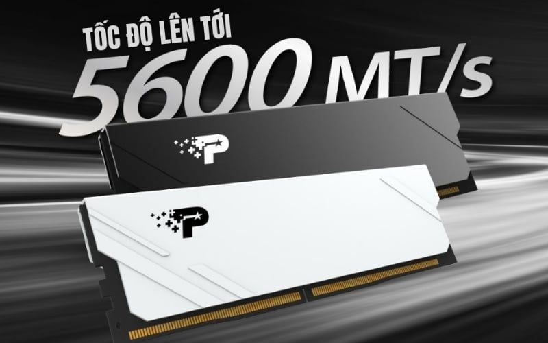 RAM Patriot dòng Signature Line