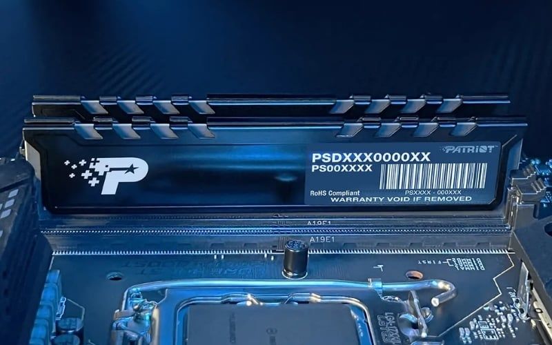 RAM Patriot Signature phù hợp với người dùng có nhu cầu văn phòng và học tập