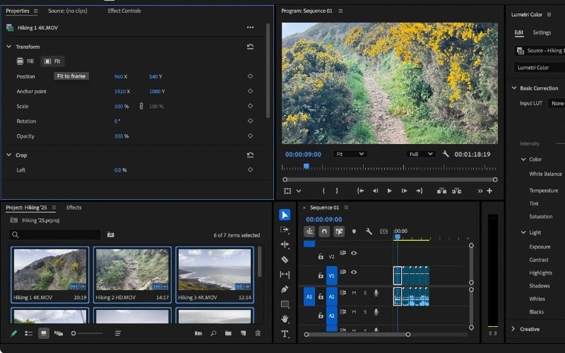 Các phần mềm chuyên dụng như Adobe Premiere hoạt động mượt hơn khi sử dụng Quad Channel