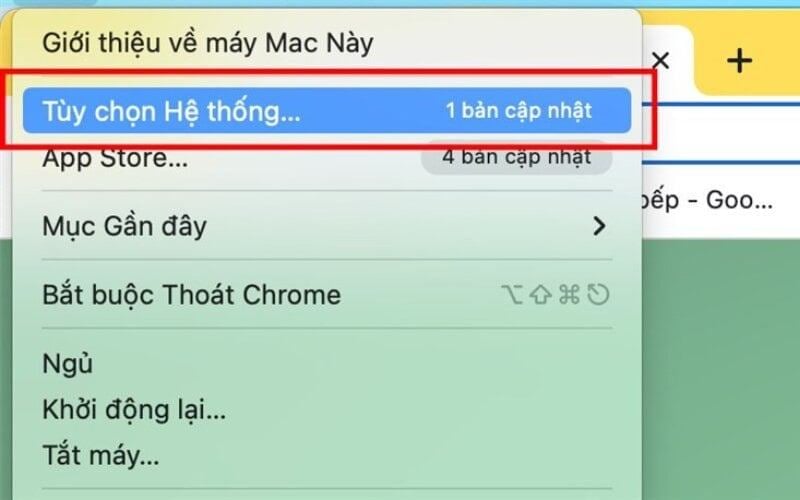 Chọn System Settings (Tùy chọn Hệ thống)