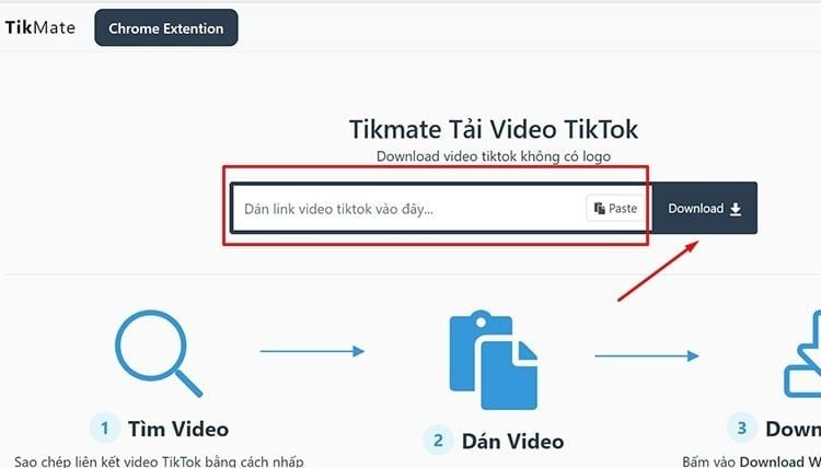 Sử dụng Tiện ích Mở rộng để tải video TikTok
