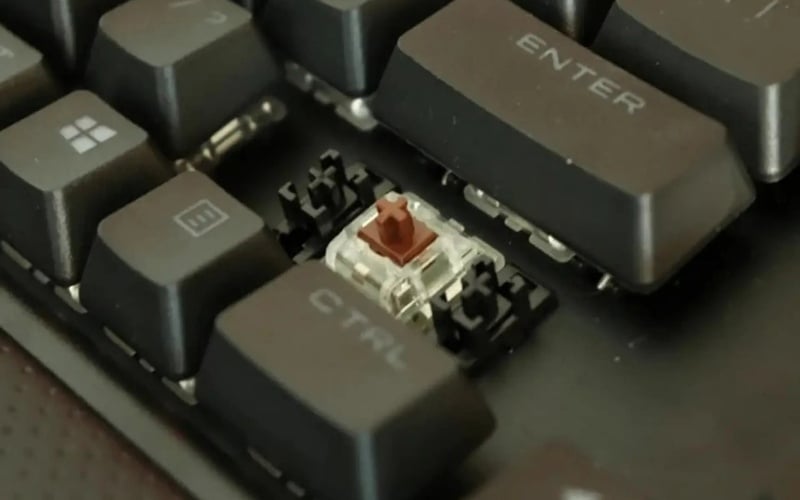 Brown Switch đem lại độ nảy tốt mà không gây ồn lớn