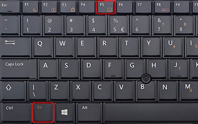 Bạn nhấn tổ hợp phím Fn cùng với một phím chức năng để tắt touchpad