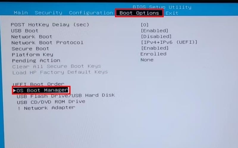 Chọn dòng OS Boot Manager tại&nbsp;mục Boot Options
